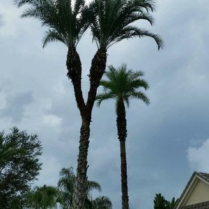 Meet your Posher, Chad